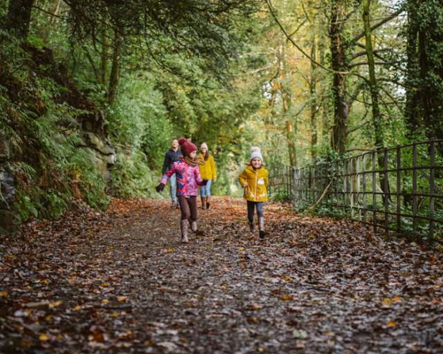 visit swansea bay nature wellbeing