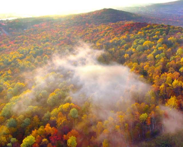 Rib Mountain aerial view of a colorful forest in autumn, with vibrant yellow, orange, and green trees partially shrouded in soft mist.