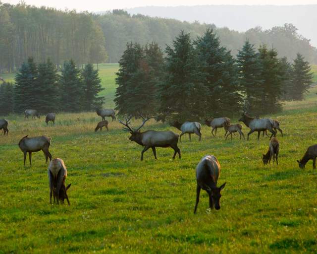 Elk County Visitors Center