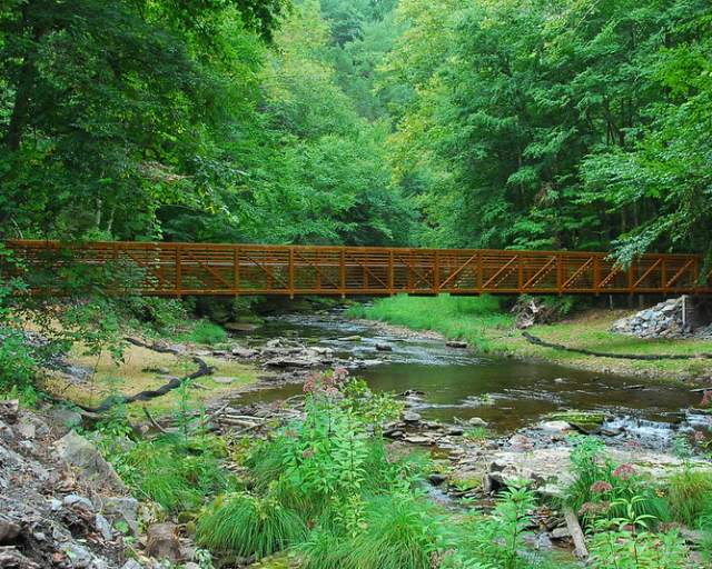 Tiadaghton State Forest