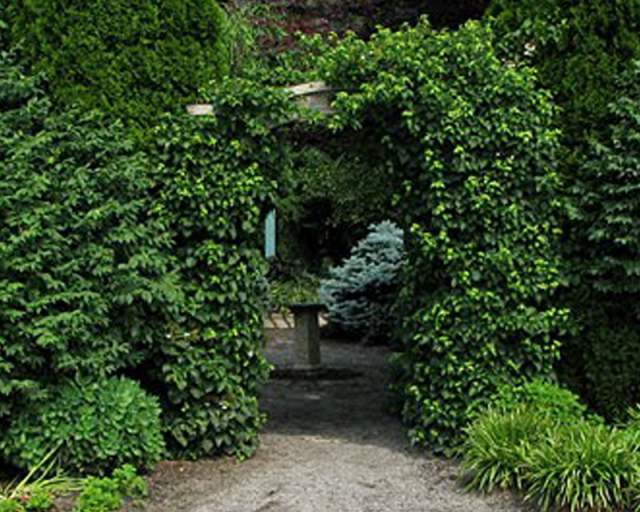 Peace Garden at Memorial Park