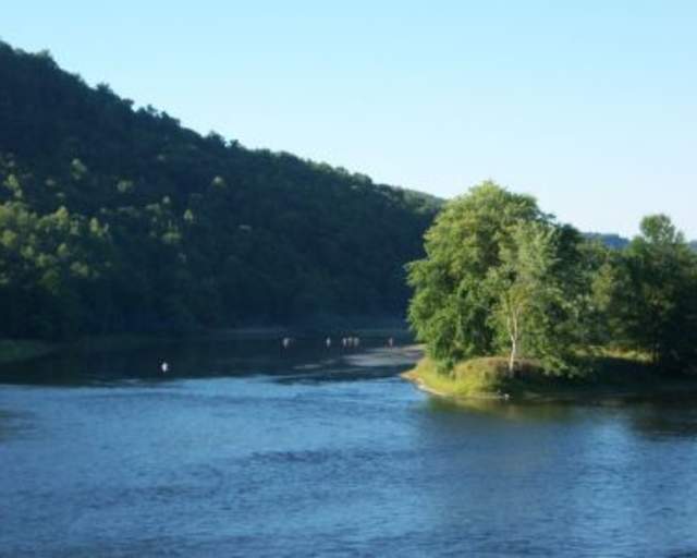 Allegheny River Island Wilderness Area