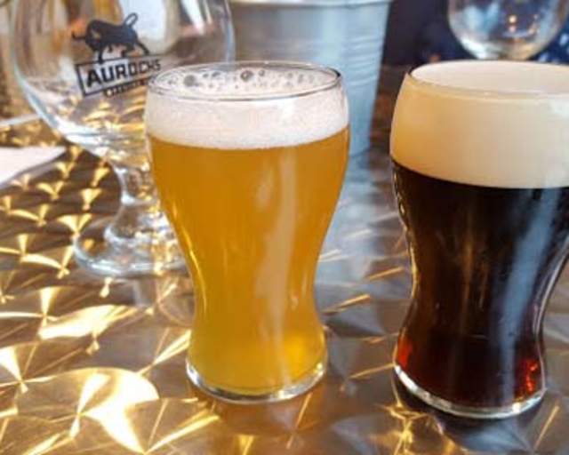 Aurochs Brewing Company