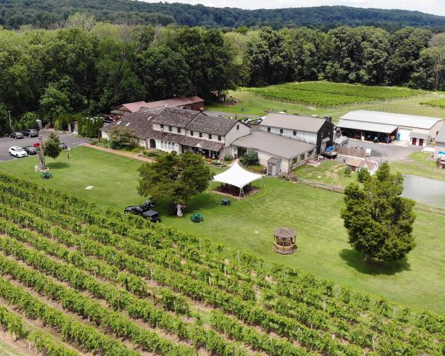 Buckingham Valley Vineyards and Winery