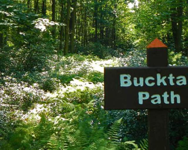 Bucktail Path