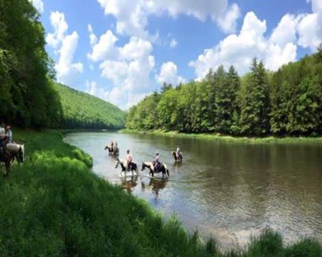 Cook Forest Area Scenic Trail Ride And Dude Ranch