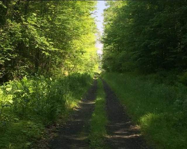 D & H Trail