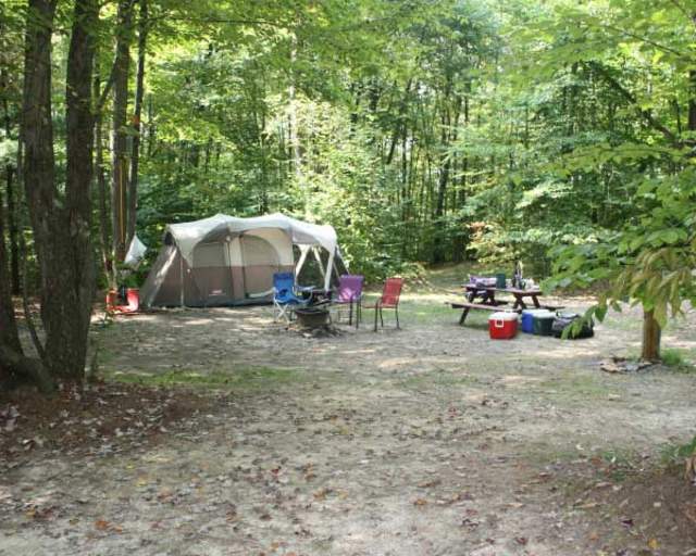 Forest Ridge Cabins and Campgrounds