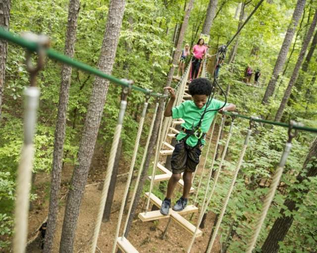 Go Ape Treetop Adventure