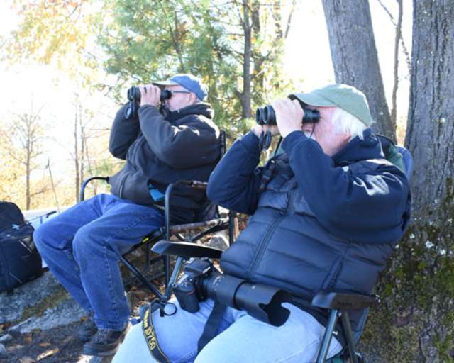 Jack’s Mountain Hawk Watch