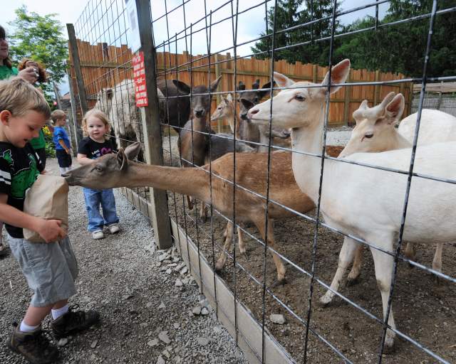 Living Treasures Animal Park