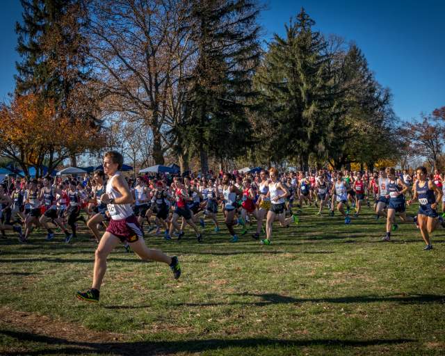 Hershey Parkview Cross Country Course