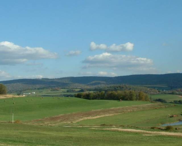 Donegal