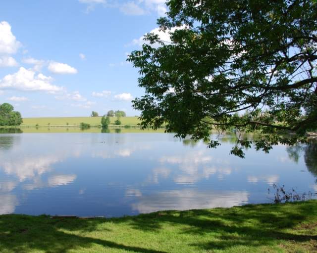 Pine Cradle Lake Family Campground
