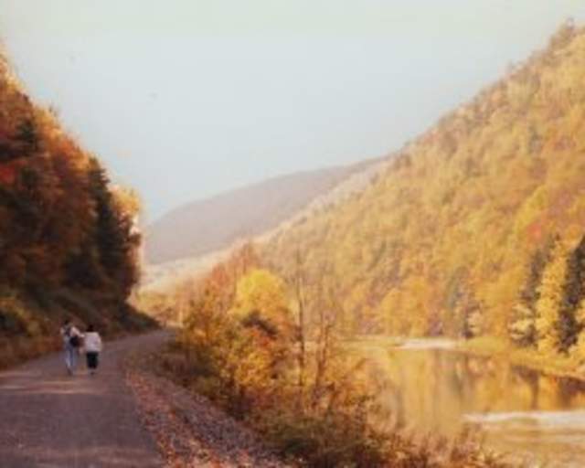 Pine Creek Rail Trail