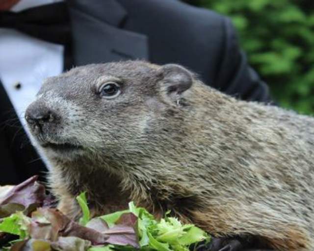 Punxsutawney