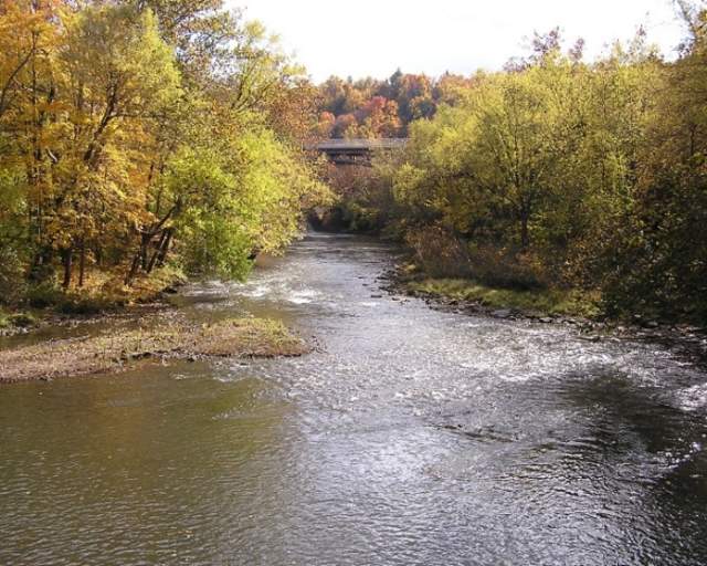 Rose Point Park Cabins And Campground