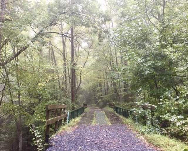 Stony Valley Railroad Grade Trail