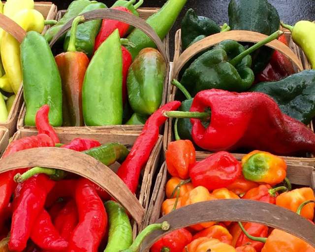 Warren Farmers Market