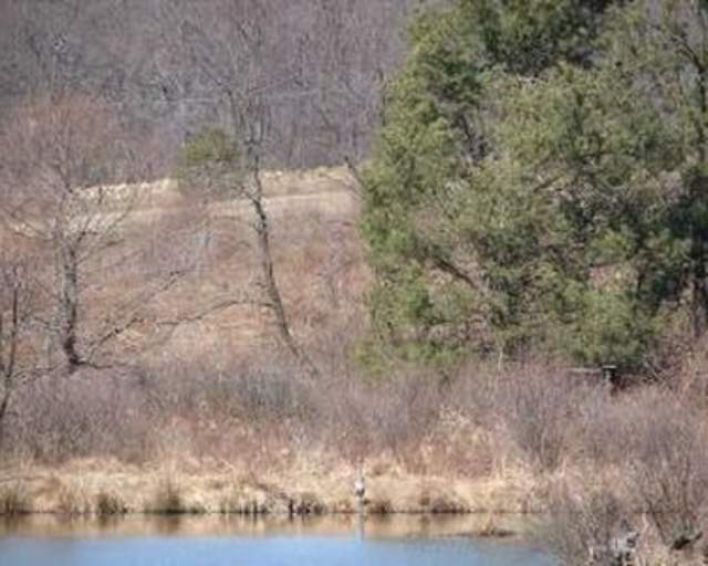 Beaver Creek Nature Area