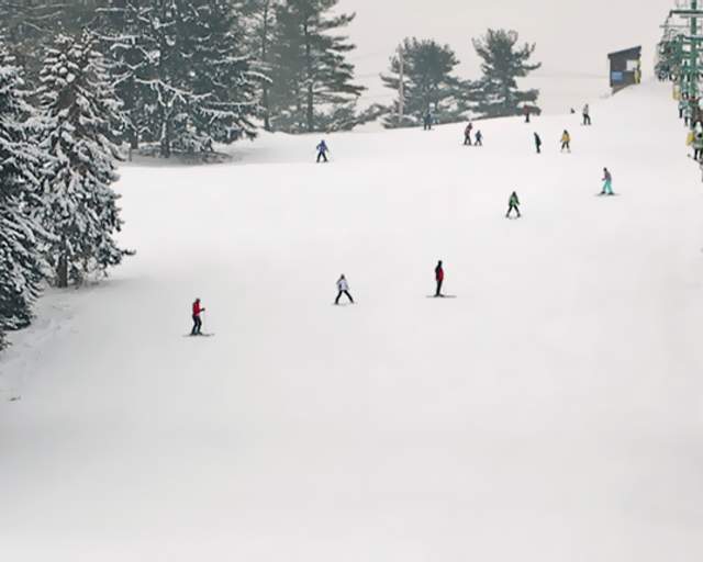 Boyce Park Ski Area