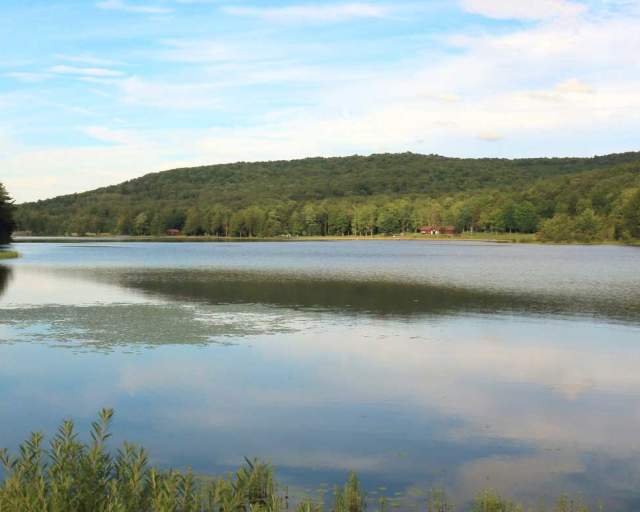 Chapman State Park