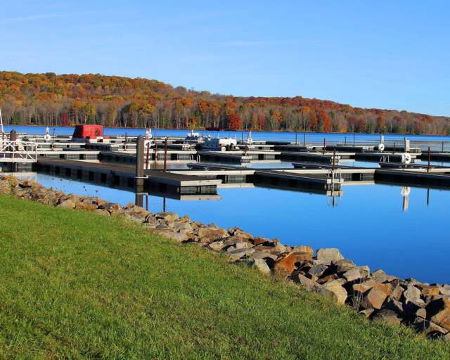 Prince Gallitzin State Park
