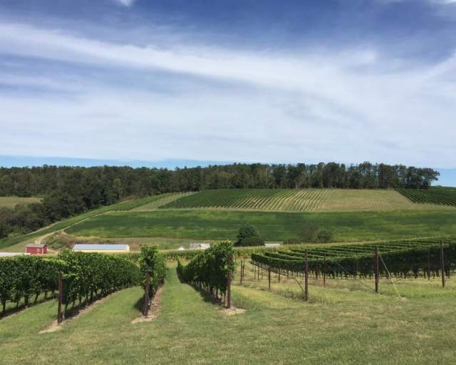 Galen Glen Winery