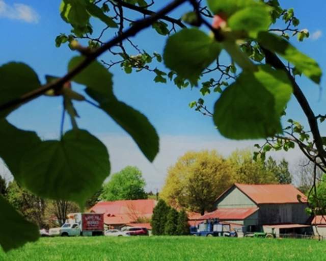 Greendance - The Winery at Sand Hill