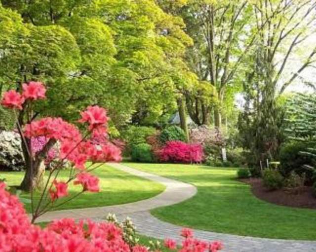 Keithan's Bluebird Gardens