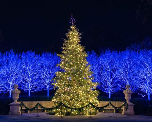 A Longwood Christmas