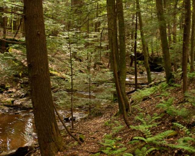Maurice K. Goddard State Park