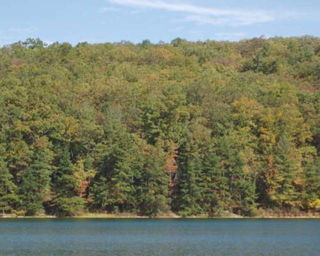 Michaux State Forest