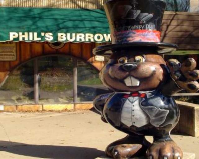 Phil's Burrow