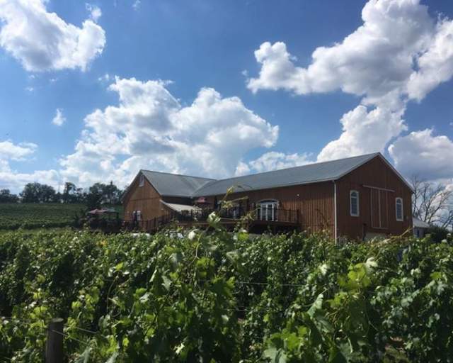 Shade Mountain Winery & Vineyards