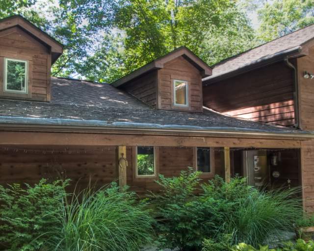 Yough Treehouse