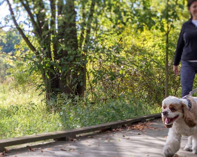 Dauphin County Parks And Recreation