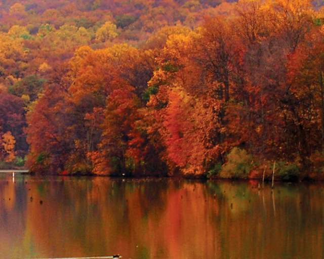 Middle Creek Wildlife Management Area