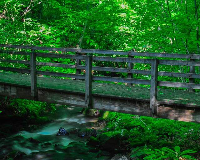 Bear Run Nature Reserve