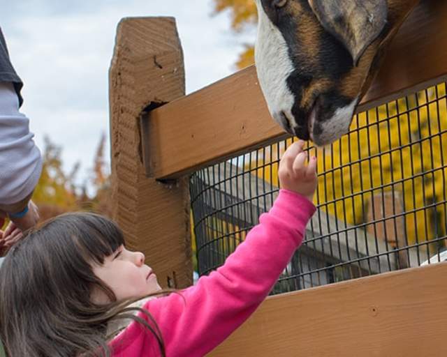The Lehigh Valley Zoo