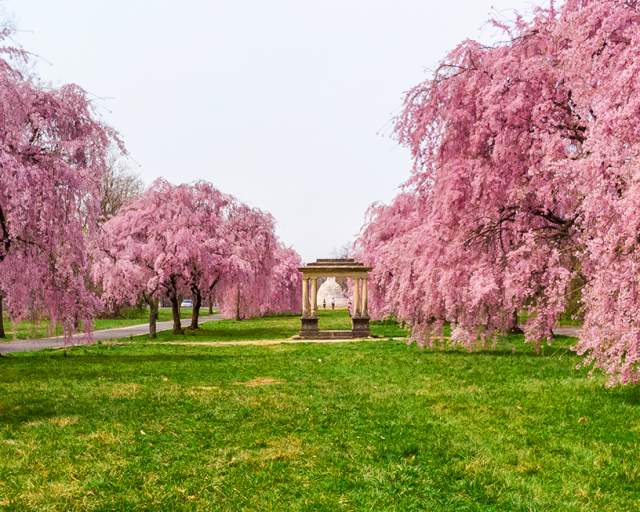 Wissahickon Valley Park