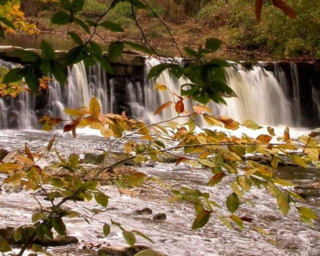 Ridley Creek State Park