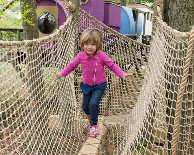 Treehouse World
