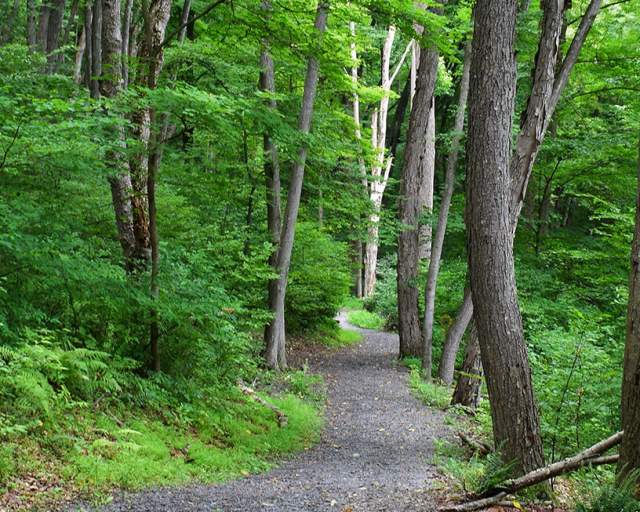 Delaware Water Gap National Recreation Area Trailhead