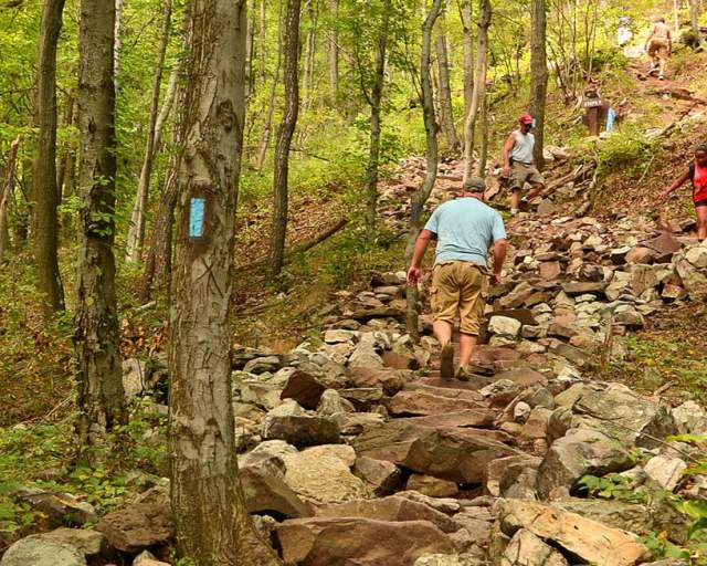 1,000 Steps Hiking Trail