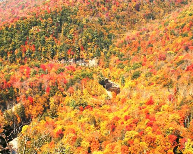 Endless Mountains Visitors Bureau