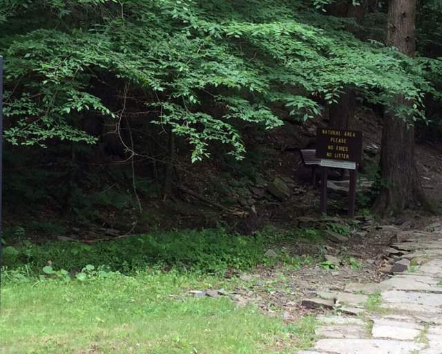 Salt Springs State Park