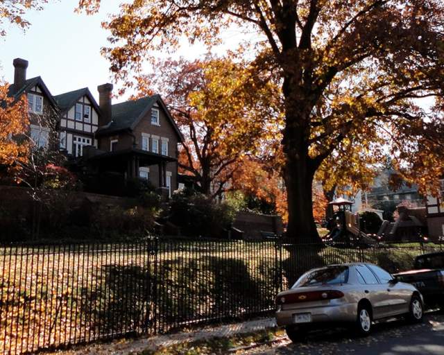 Yuengling Mansion, Schuylkill County Council For The Arts