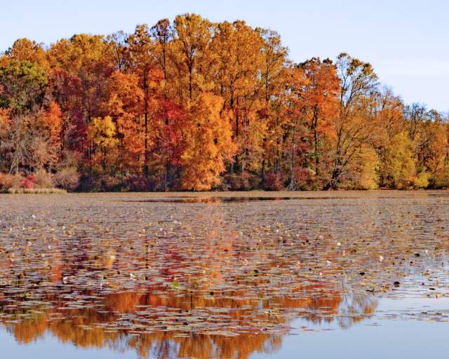 French Creek State Park