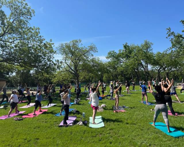 Yoga in The Park